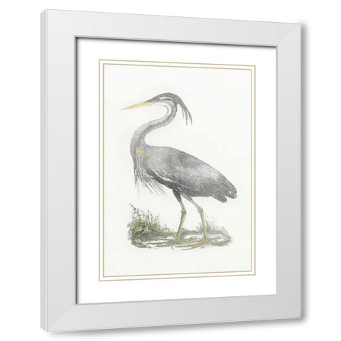 Silver Foil Heron II with Hand Color White Modern Wood Framed Art Print with Double Matting by Selby, John