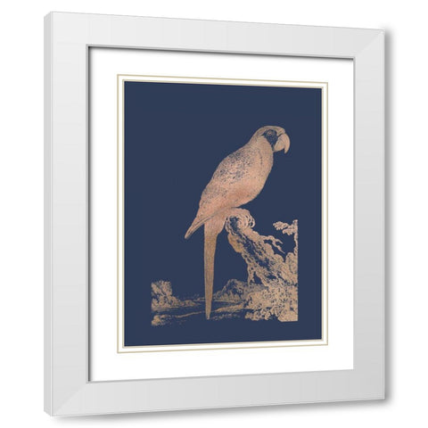 Rose Gold Foil Parrot I on Imperial Blue White Modern Wood Framed Art Print with Double Matting by Edwards