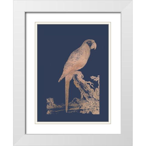 Rose Gold Foil Parrot I on Imperial Blue White Modern Wood Framed Art Print with Double Matting by Edwards