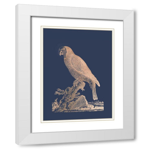 Rose Gold Foil Parrot II on Imperial Blue White Modern Wood Framed Art Print with Double Matting by Edwards