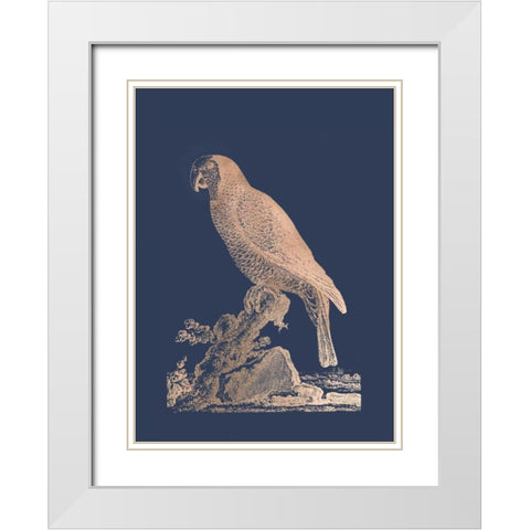 Rose Gold Foil Parrot II on Imperial Blue White Modern Wood Framed Art Print with Double Matting by Edwards