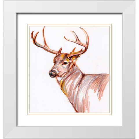 Deer in Pencil White Modern Wood Framed Art Print with Double Matting by Seay, Anne