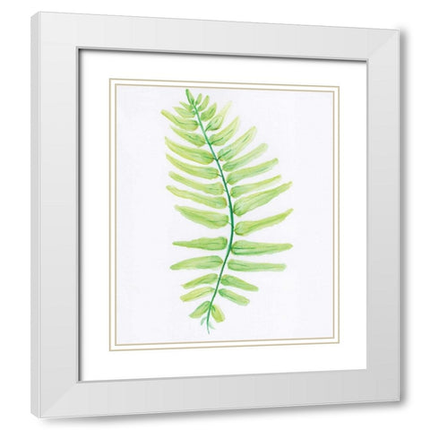 Fern White Modern Wood Framed Art Print with Double Matting by Seay, Anne