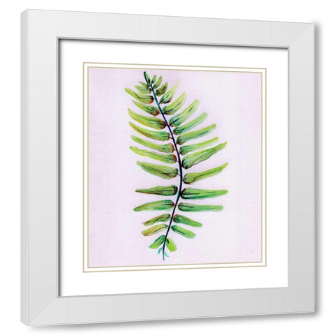 Blue Fern White Modern Wood Framed Art Print with Double Matting by Seay, Anne