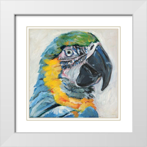 Parrot II White Modern Wood Framed Art Print with Double Matting by Seay, Anne
