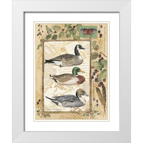 Three Ducks White Modern Wood Framed Art Print with Double Matting by Phillips, Anita