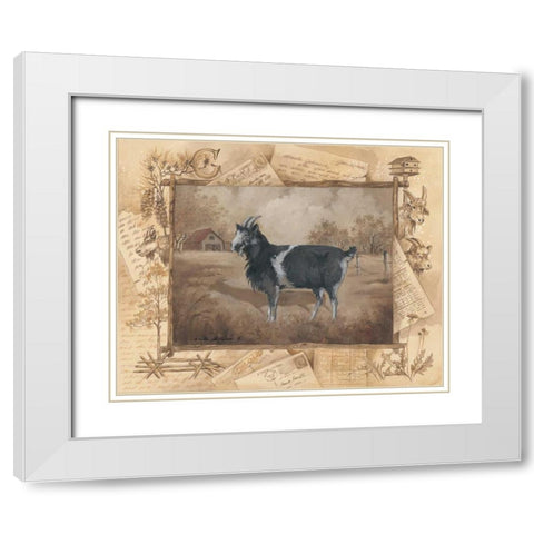 Goat White Modern Wood Framed Art Print with Double Matting by Phillips, Anita