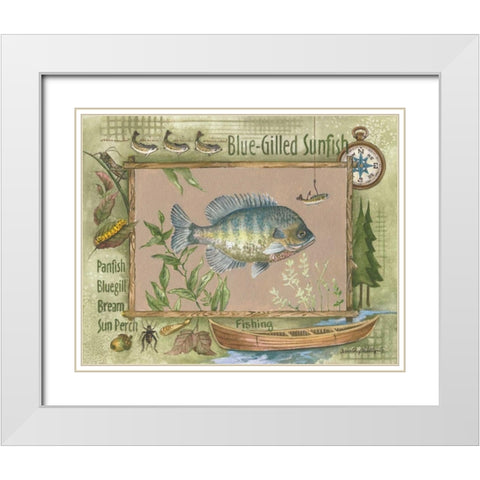 Blue-Gilled Sunfish White Modern Wood Framed Art Print with Double Matting by Phillips, Anita