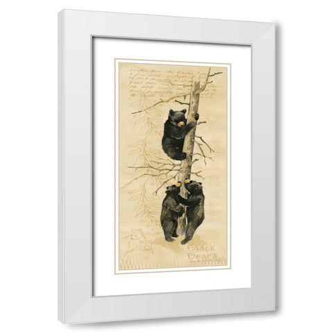 Black Bears White Modern Wood Framed Art Print with Double Matting by Phillips, Anita