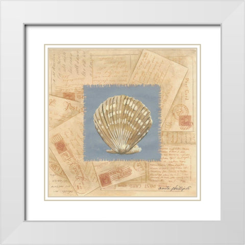 Fan Shell Postcard White Modern Wood Framed Art Print with Double Matting by Phillips, Anita