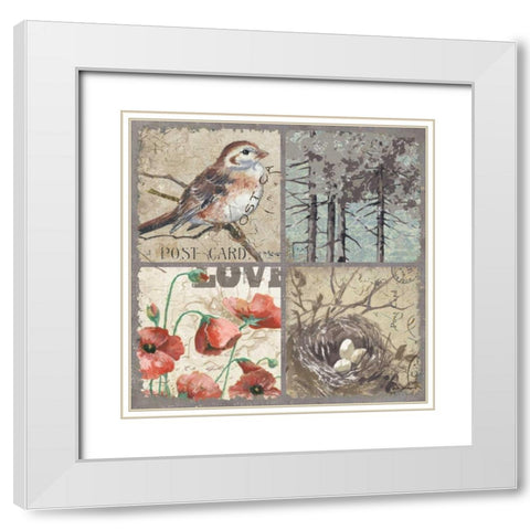 Bird 4 Patch III White Modern Wood Framed Art Print with Double Matting by Phillips, Anita