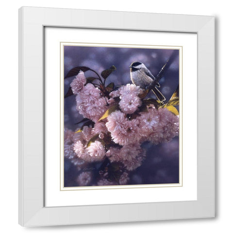 Black Capped Chickadee White Modern Wood Framed Art Print with Double Matting by Bogle, Collin