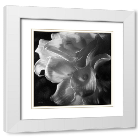 Calla Lilies - Emerging Dawn BandW White Modern Wood Framed Art Print with Double Matting by Bogle, Collin