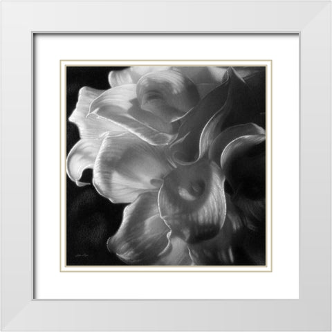 Calla Lilies - Emerging Dawn BandW White Modern Wood Framed Art Print with Double Matting by Bogle, Collin