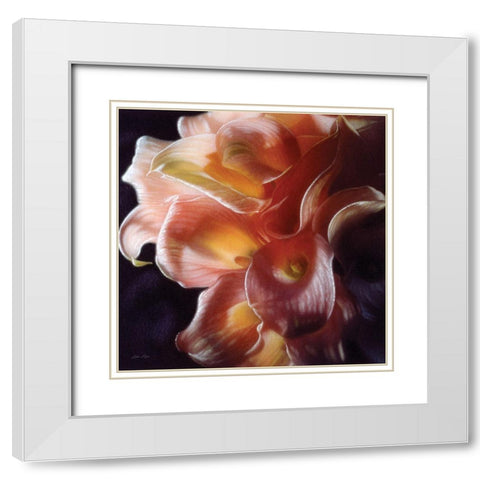Calla Lilies - Emerging Dawn White Modern Wood Framed Art Print with Double Matting by Bogle, Collin