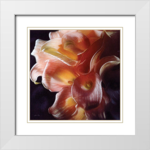 Calla Lilies - Emerging Dawn White Modern Wood Framed Art Print with Double Matting by Bogle, Collin