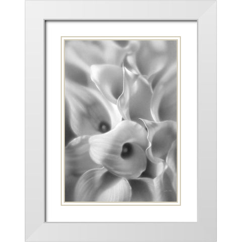 Calla Lilies White Modern Wood Framed Art Print with Double Matting by Bogle, Collin