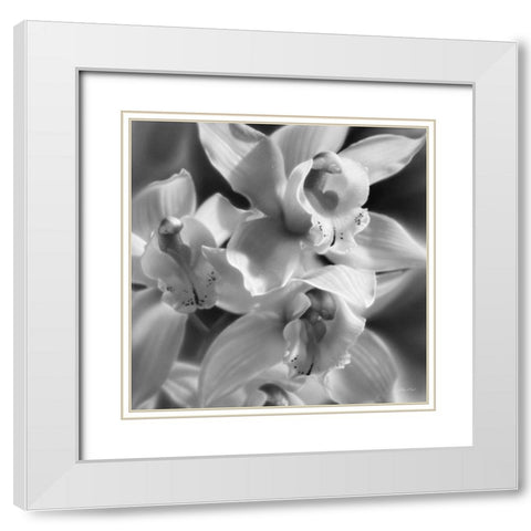 Orchids - BandW White Modern Wood Framed Art Print with Double Matting by Bogle, Collin