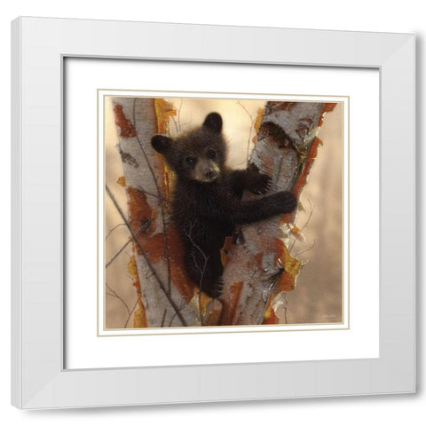 Curious Cub I White Modern Wood Framed Art Print with Double Matting by Bogle, Collin