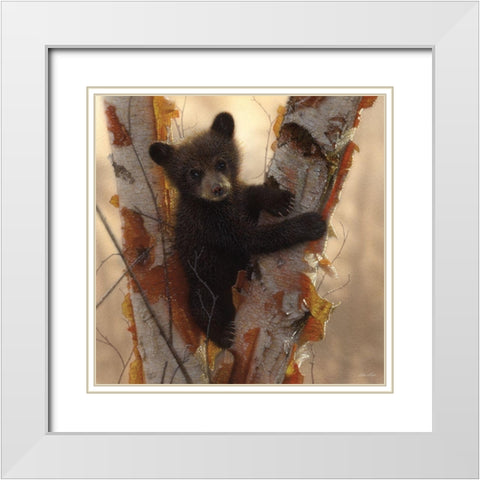Curious Cub I White Modern Wood Framed Art Print with Double Matting by Bogle, Collin
