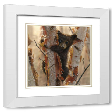 Curious Cub II White Modern Wood Framed Art Print with Double Matting by Bogle, Collin