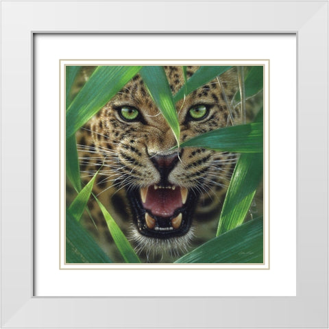 Jaguar - Ambush White Modern Wood Framed Art Print with Double Matting by Bogle, Collin