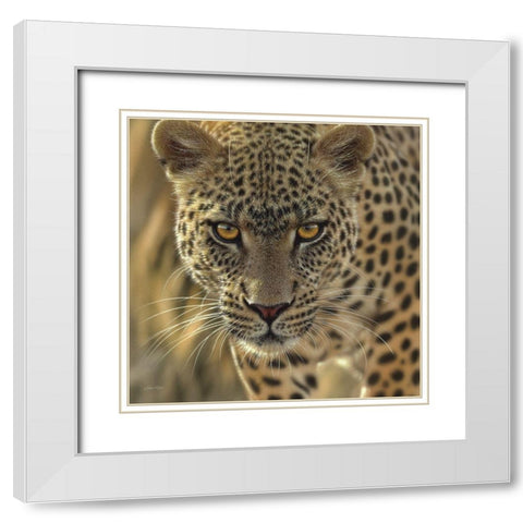 Leopard - On the Prowl - Square White Modern Wood Framed Art Print with Double Matting by Bogle, Collin