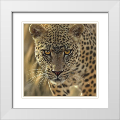 Leopard - On the Prowl - Square White Modern Wood Framed Art Print with Double Matting by Bogle, Collin