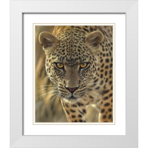 Leopard - On the Prowl White Modern Wood Framed Art Print with Double Matting by Bogle, Collin