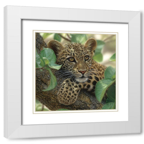 Leopard Cub - Tree Hugger White Modern Wood Framed Art Print with Double Matting by Bogle, Collin