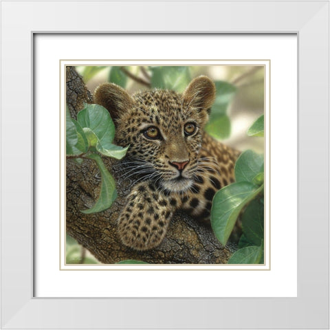 Leopard Cub - Tree Hugger White Modern Wood Framed Art Print with Double Matting by Bogle, Collin