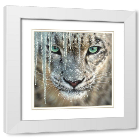 Snow Leopard - Blue Ice White Modern Wood Framed Art Print with Double Matting by Bogle, Collin