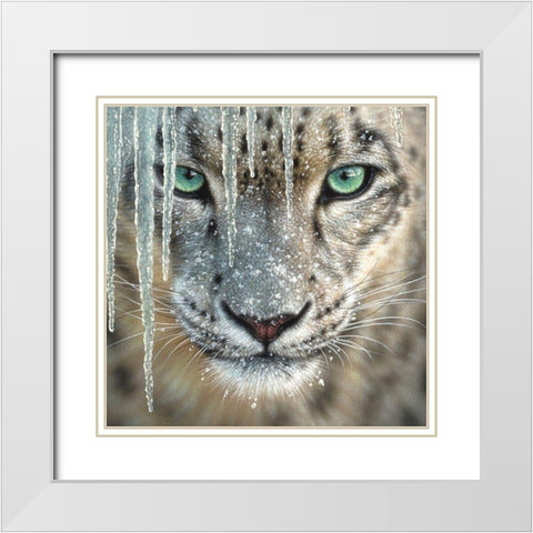 Snow Leopard - Blue Ice White Modern Wood Framed Art Print with Double Matting by Bogle, Collin