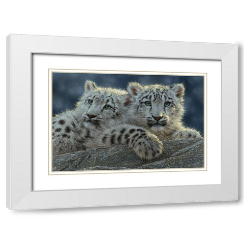 Snow Leopard Cubs White Modern Wood Framed Art Print with Double Matting by Bogle, Collin