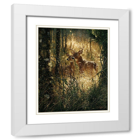 Whitetail Deer - A Golden Moment White Modern Wood Framed Art Print with Double Matting by Bogle, Collin