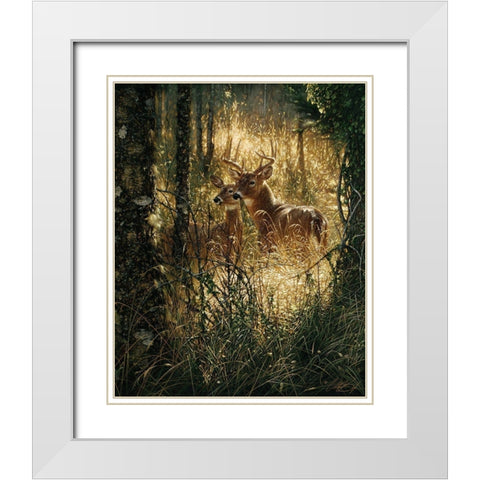 Whitetail Deer - A Golden Moment White Modern Wood Framed Art Print with Double Matting by Bogle, Collin