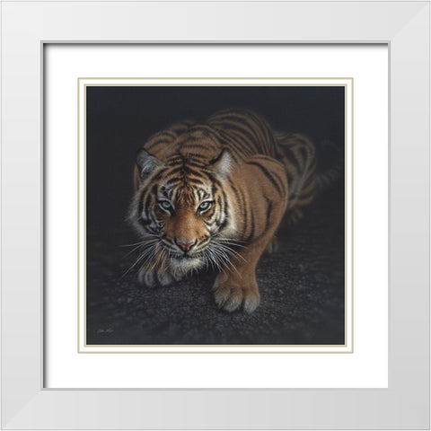 Crouching Tiger White Modern Wood Framed Art Print with Double Matting by Bogle, Collin
