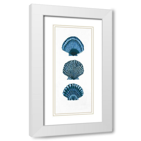 Shells White Modern Wood Framed Art Print with Double Matting by Shamp, Cindy