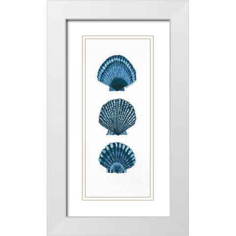 Shells White Modern Wood Framed Art Print with Double Matting by Shamp, Cindy