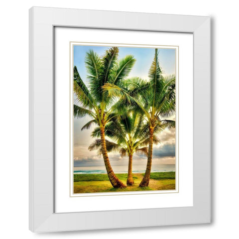 Triple Palm White Modern Wood Framed Art Print with Double Matting by Frates, Dennis