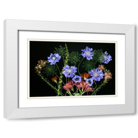 Botanical XI White Modern Wood Framed Art Print with Double Matting by Frates, Dennis