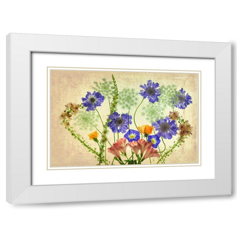 Botanical IX White Modern Wood Framed Art Print with Double Matting by Frates, Dennis