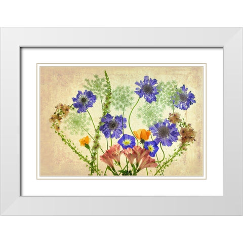 Botanical IX White Modern Wood Framed Art Print with Double Matting by Frates, Dennis