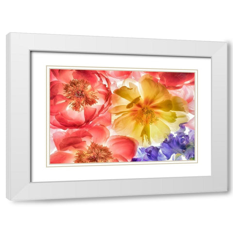 Botanical VIII White Modern Wood Framed Art Print with Double Matting by Frates, Dennis