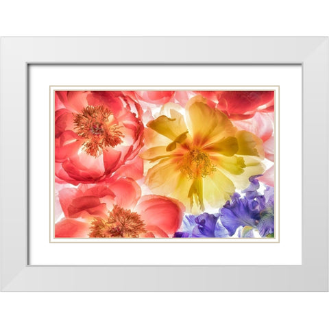 Botanical VIII White Modern Wood Framed Art Print with Double Matting by Frates, Dennis