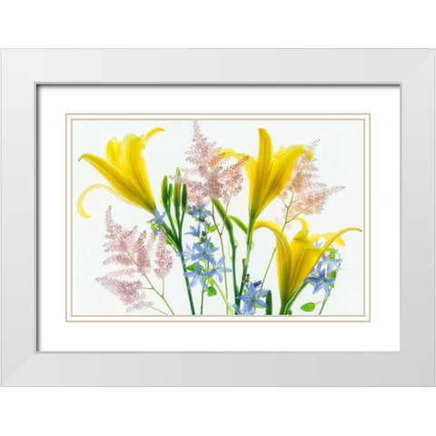 Botanical V White Modern Wood Framed Art Print with Double Matting by Frates, Dennis