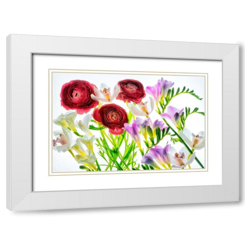 Botanical IV White Modern Wood Framed Art Print with Double Matting by Frates, Dennis