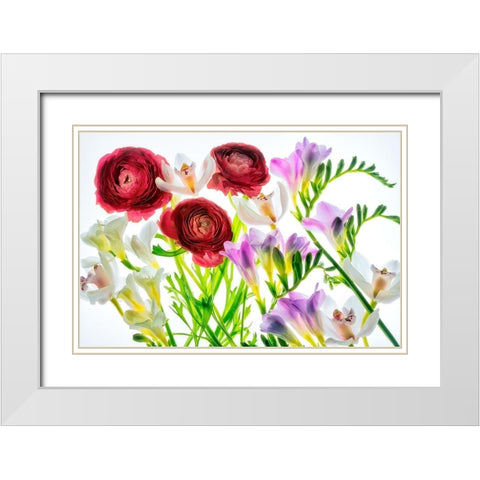 Botanical IV White Modern Wood Framed Art Print with Double Matting by Frates, Dennis