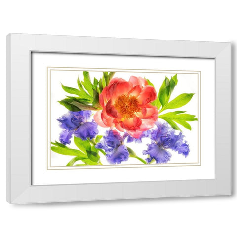 Botanical III White Modern Wood Framed Art Print with Double Matting by Frates, Dennis