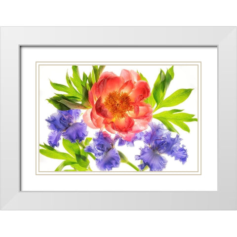 Botanical III White Modern Wood Framed Art Print with Double Matting by Frates, Dennis